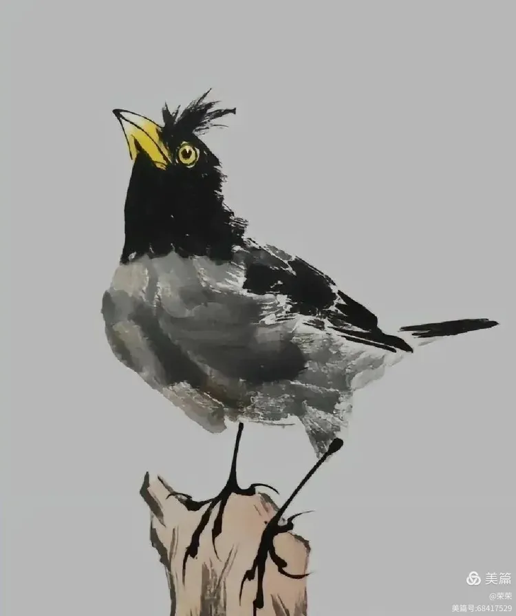 一组写意八哥画的活灵活现